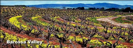 Barossa Valley