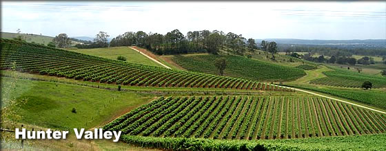 Hunter Valley