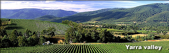 Yarra Valley