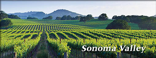 Sonoma Valley