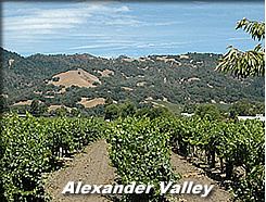 Alexande Valley