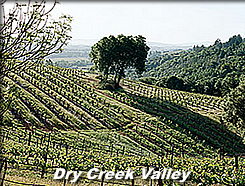 Dry Creek Valley