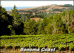 Sonoma Coast