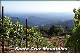 Santa Cruz Mountains