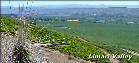 Limari Valley