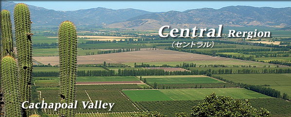 チリCentral葡萄栽培地区